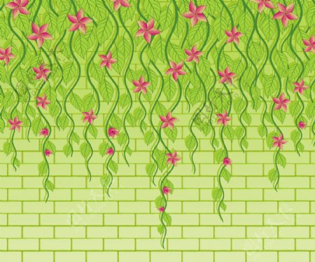 花卉装饰墙壁背景