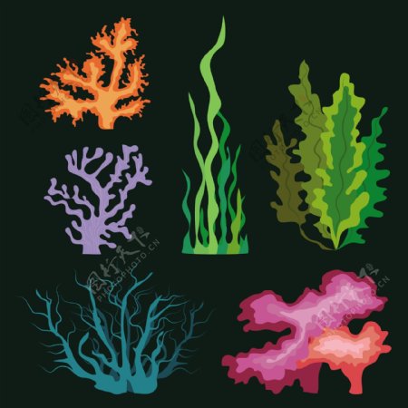 海洋植物图标