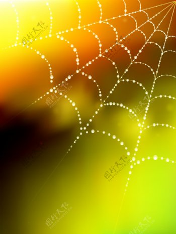 闪烁的蜘蛛网模糊的背景与液滴
