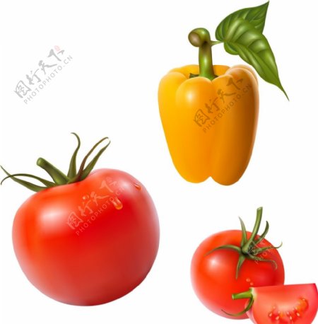 西红柿黄色彩椒