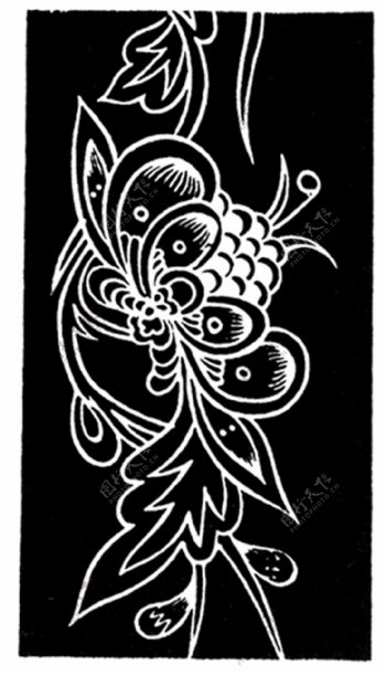 花鸟图案传统装饰0176