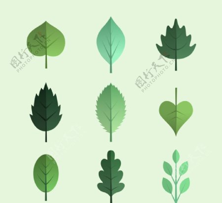 绿色树叶设计