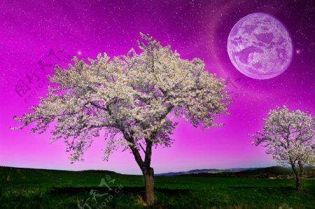 唯美紫色月圆夜景图片