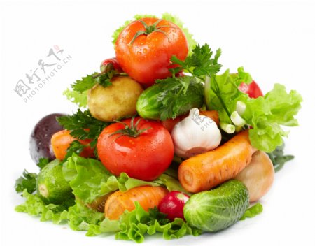 蔬菜背景素材图片