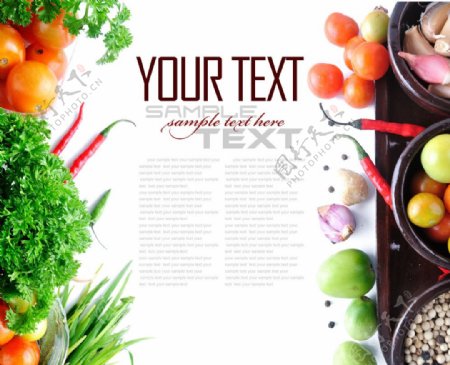 新鲜蔬菜和调味料背景素材图片