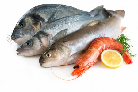 鱼与虾食材图片