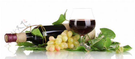 葡萄与红酒摄影图片