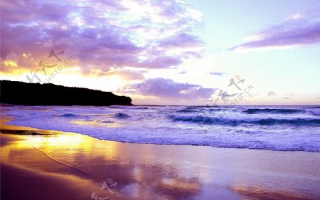 紫色海滩风景图片