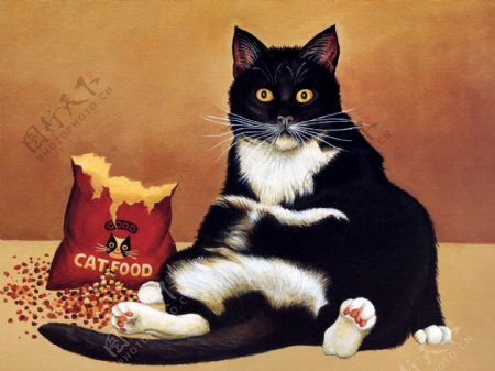 猫咪宠物手绘画43猫