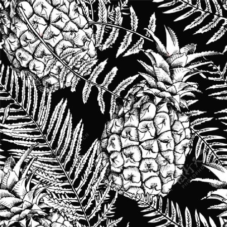 素描菠萝无缝背景图片