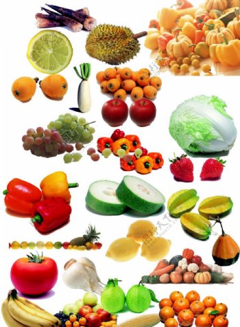 各种蔬菜水果分层图