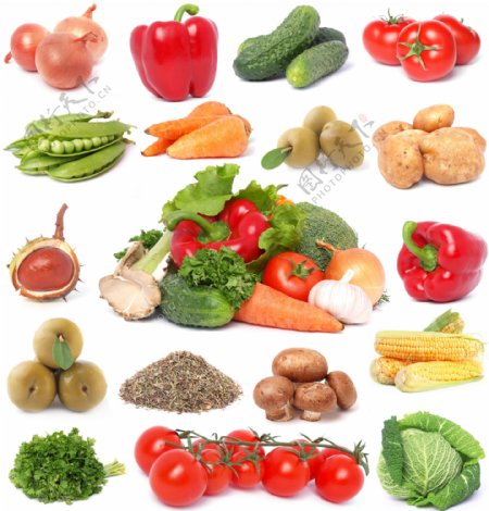 新鲜健康蔬菜摄影