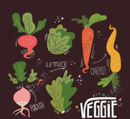 彩绘蔬菜设计