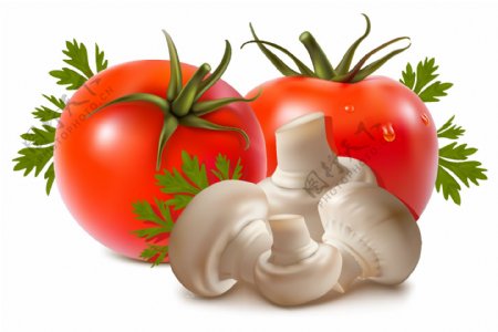 番茄与蘑菇