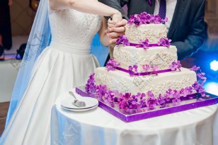 切蛋糕的新娘图片