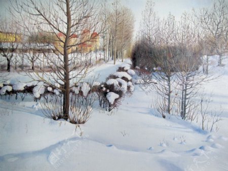 乡村冬雪图片