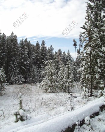 冰雪世界自然风景贴图素材JPG0296
