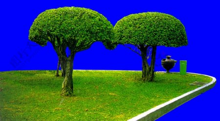 灌木植物贴图素材建筑装饰JPG2018