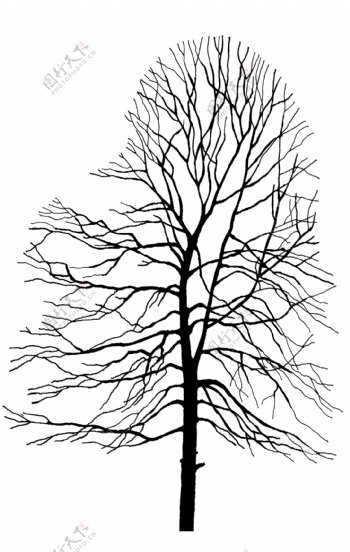 树贴图素材分层PSD104