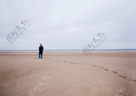沙滩上男人的背影图片