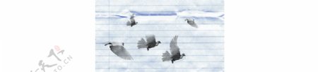 鸟类笔刷