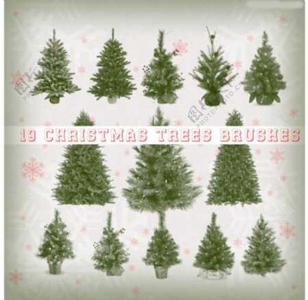10款逼真的圣诞树装饰PS笔刷