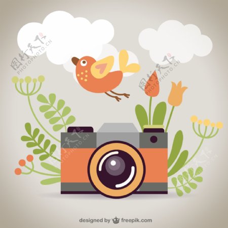 卡通相机和花鸟