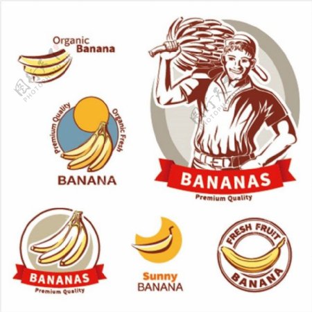 香蕉农场元素矢量图