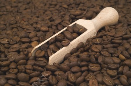 咖啡豆与铲子图片