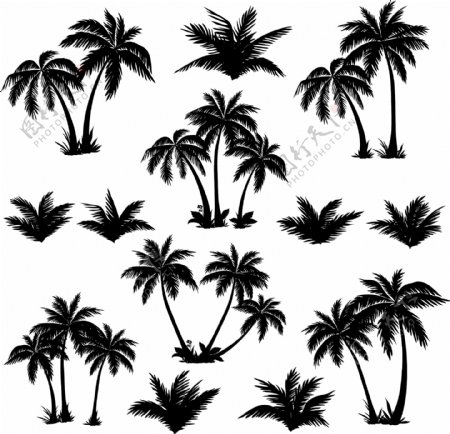 椰树图案