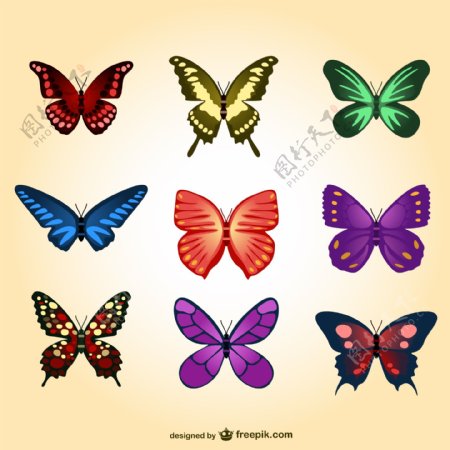 五颜六色的蝴蝶集