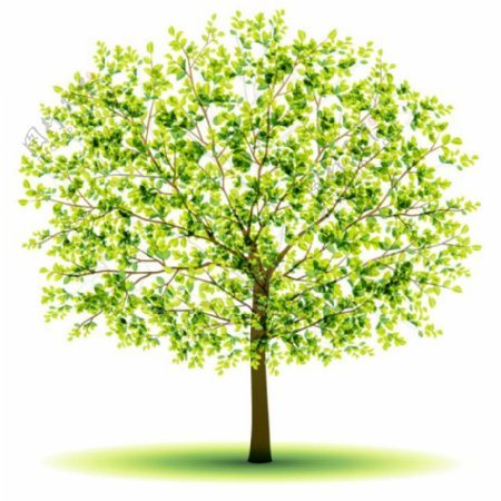 创意绿色树设计矢量图素材