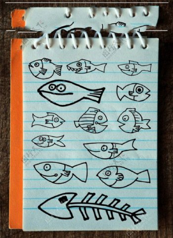 手绘涂鸦小鱼鱼图形鱼骨头PS童趣笔刷素材