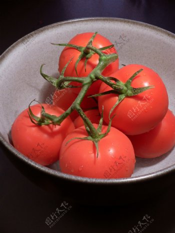 碗里的西红柿