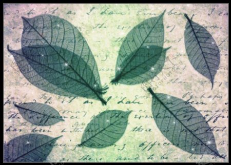 梦幻的绿叶纹理半透明树叶photoshop笔刷素材下载