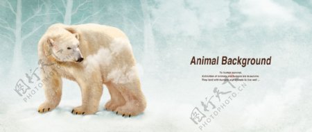 北极熊冬季森林