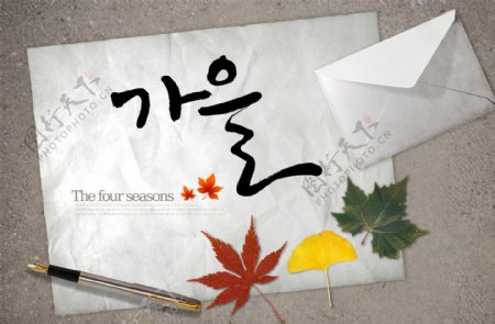 韩国信封图片