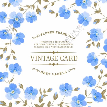 蓝色花卉装饰卡片设计