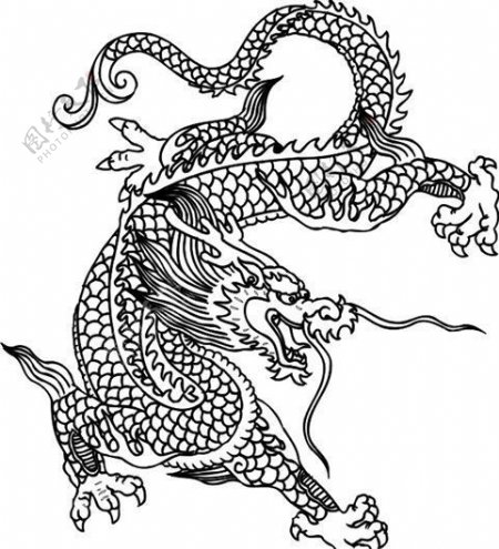 龙纹中华传统花纹黑白装饰AI