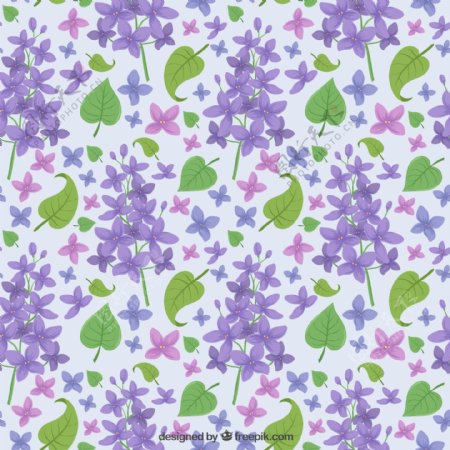 紫色丁香花和叶子无缝背景矢量图