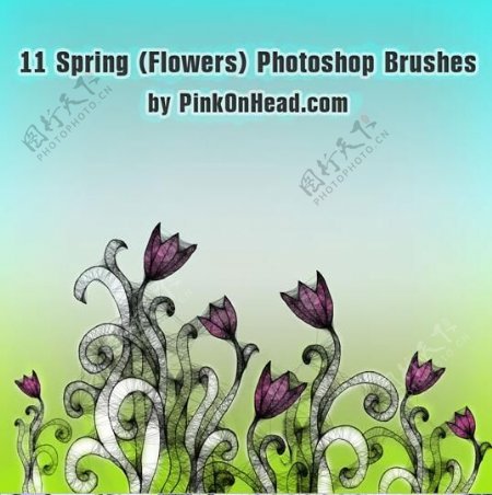 11种黑暗花朵花纹图像PS笔刷下载