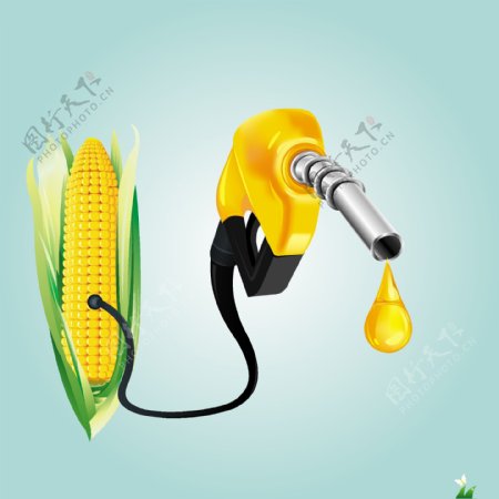 玉米与油