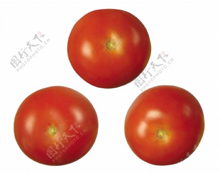 三个番茄