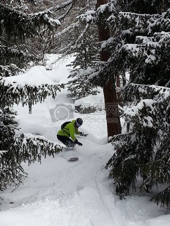 自由式的滑雪