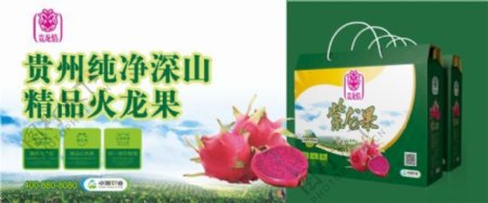 火龙果贵州精品海报