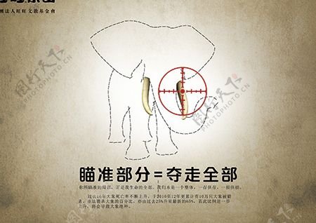 保护野生动物广告PSD