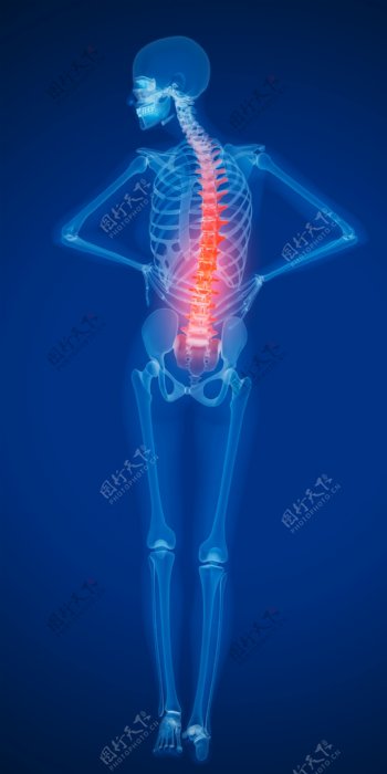 人体腰椎X光图像图片