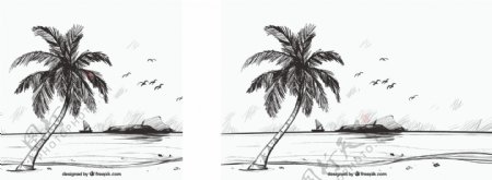 用棕榈树绘制海滩背景