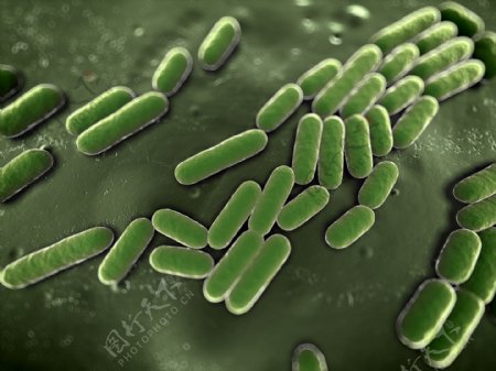 绿色虫形微生物图片