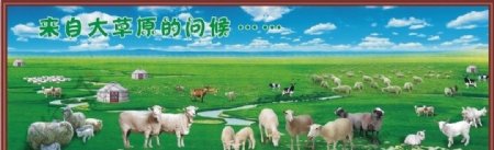内蒙古的牛羊